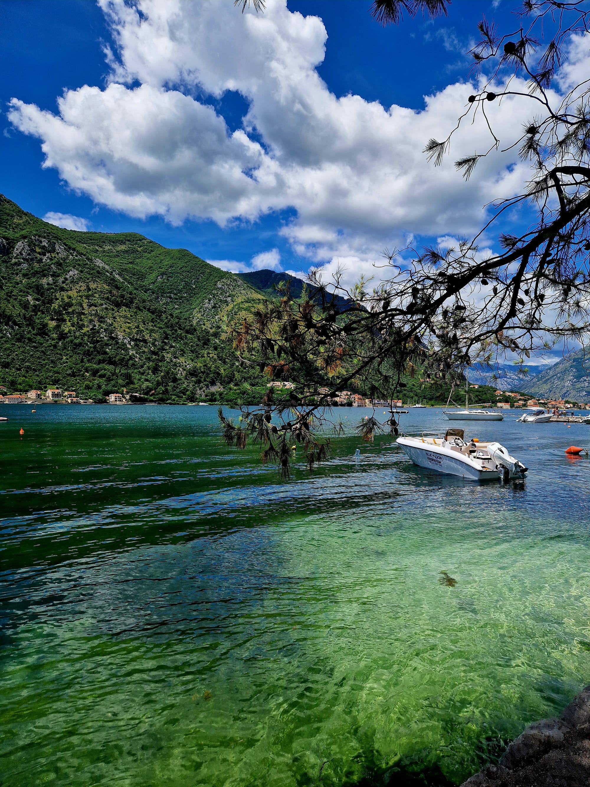 A speed boat can be seen on turquoise clear water